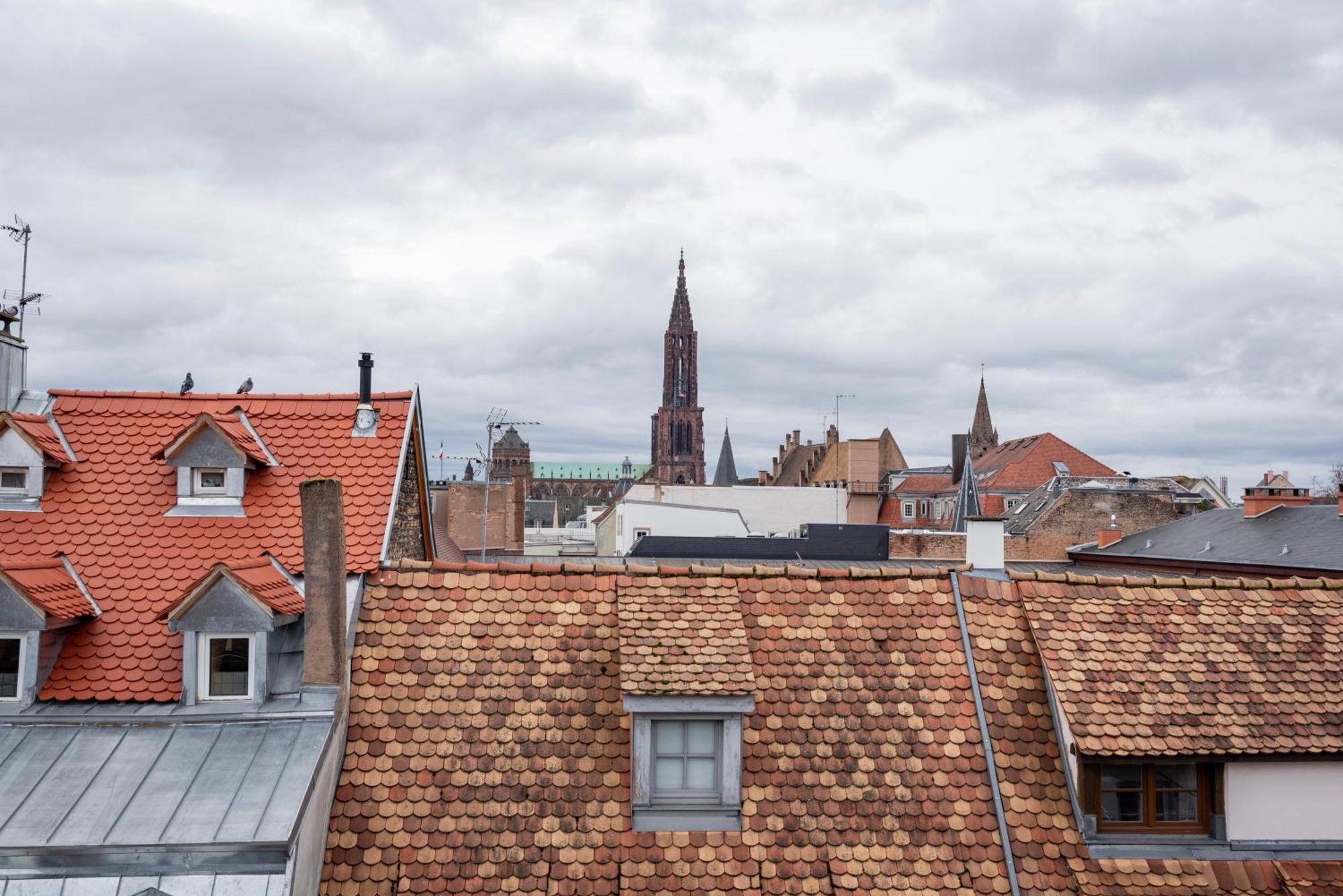 Le Schoepflin - Coeur De Strasbourg - Vue Toits Exterior photo